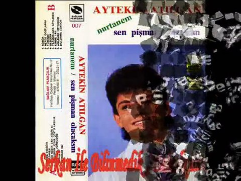 Aytekin Atılgan - Tükendi