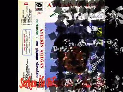 Aytekin Atılgan - Yağmurlara Söylesem