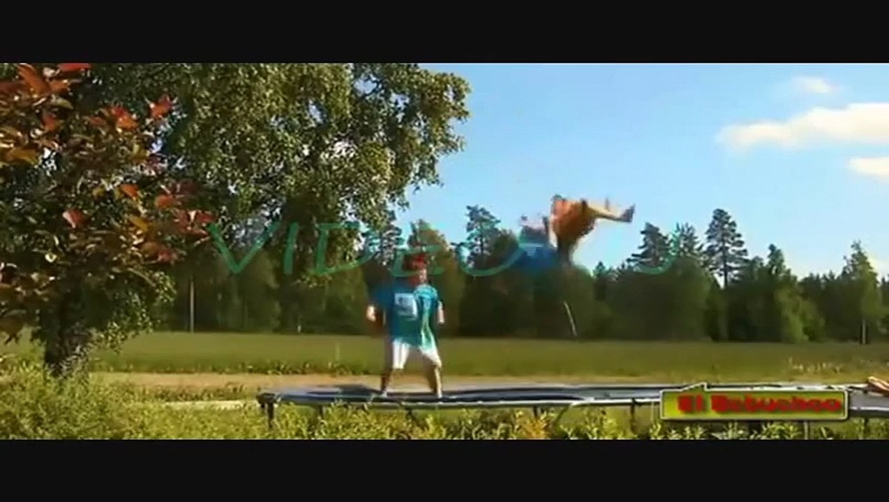 videos super graciosos