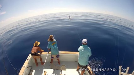 Capt. Nick Stanczyk Fights a Giant Swordfish