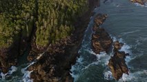 Destination: Adventure - Tofino (Sponsored)