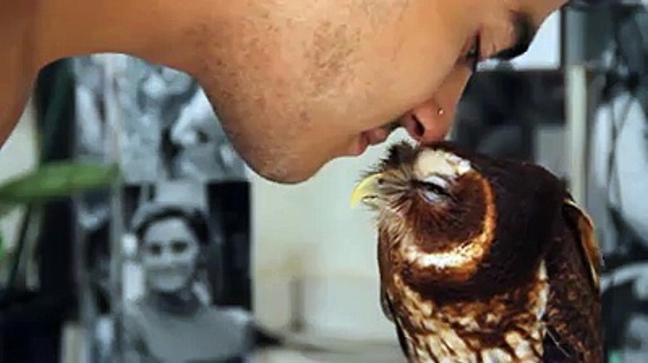 Parrot kis the Gril