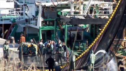 TERMİK SANTRAL SEVDALILARINA KAPAK OLSUN