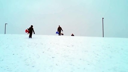 Al perro no le gusta el trineo