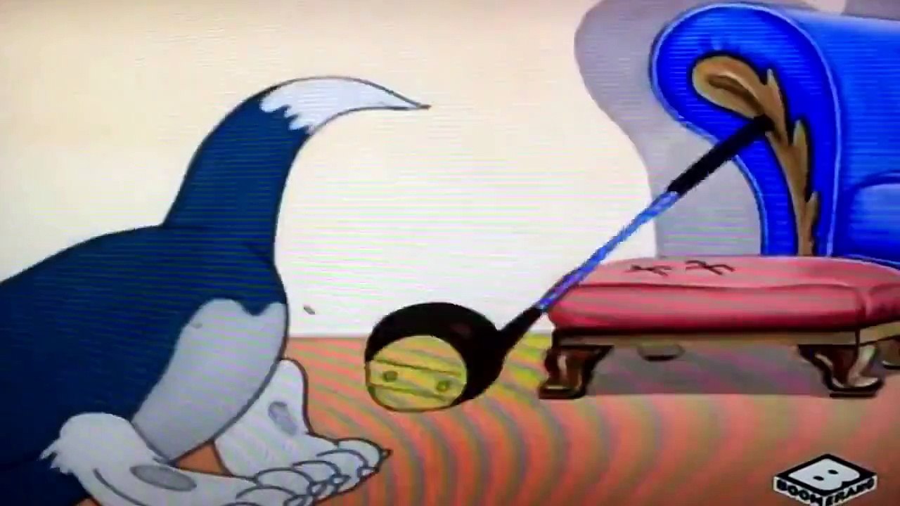 Tom and jerry this is funny