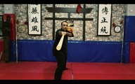 Kaplan Wing-Chun Academy - SKMAA Turkey - Ip Man Wing Chun