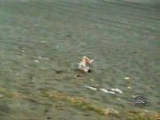 Un festival de chutes à la video gags