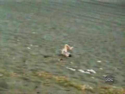 Un festival de chutes à la video gags