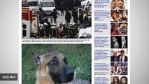 French Police Dog Killed By Terrorists During Raid Of Paris Apartment