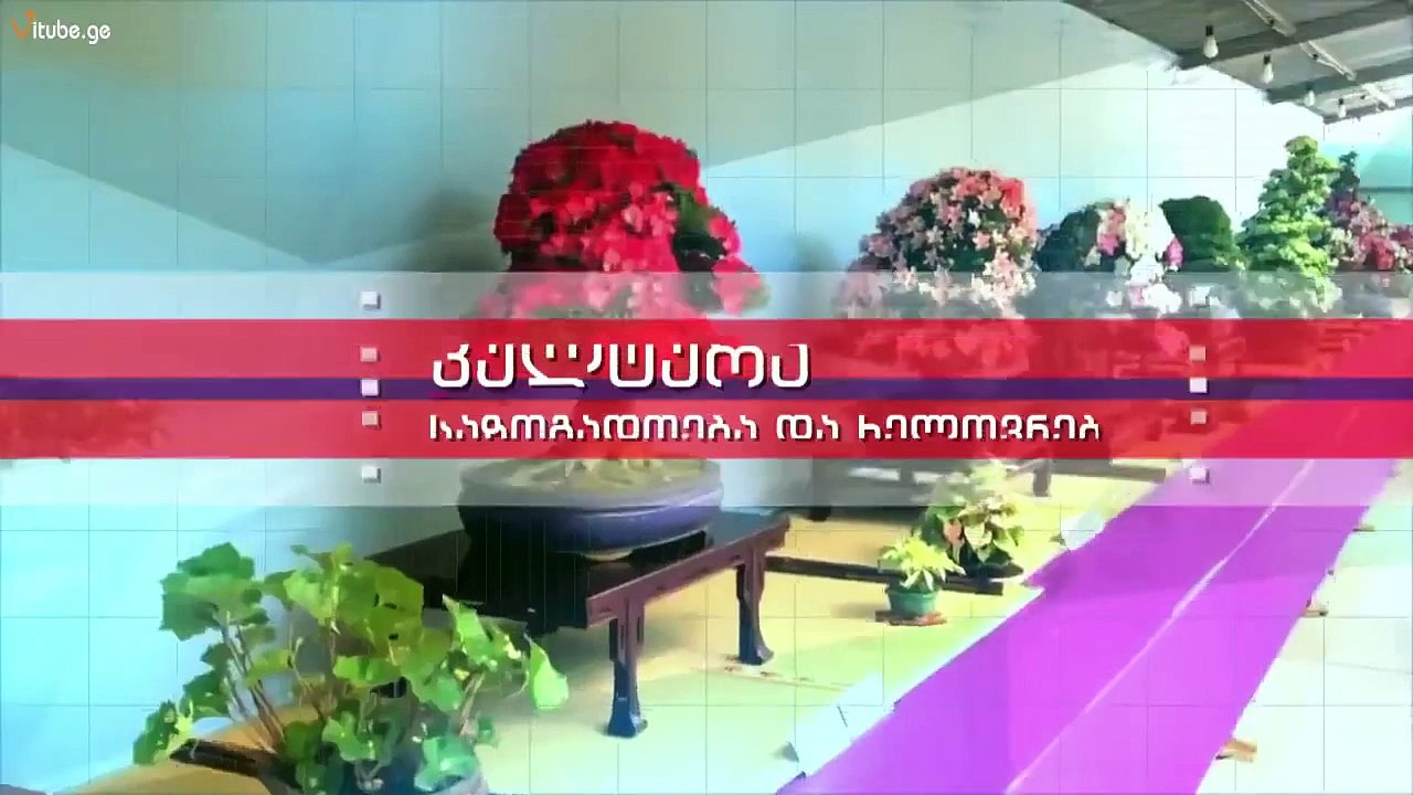 სტიქიის გმირი მამა 14 ივნისის სტიქია Stiqiis Gmiri Mama 2015