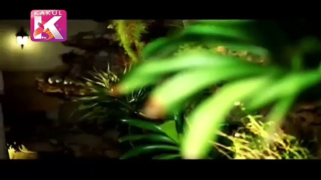 Mere Ajnabi Episode 16 Full Episode ARY Digital Drama 18 November 2015