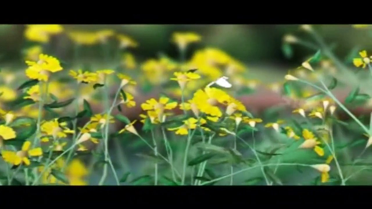 Appooppanthadi Malayalam Cartoon Full HD | Upload 2015