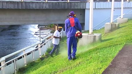 Insertion-travailleur-handicapé