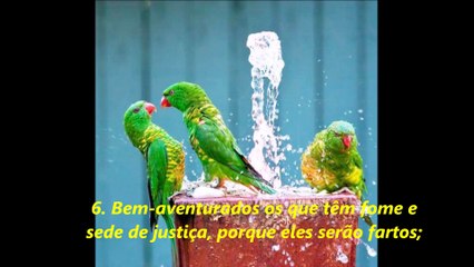 Ser Bem-Aventurado É Ser  Feliz