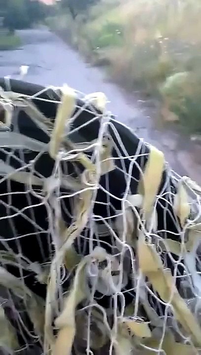 Ukraine News • MTLB with ZU 23 2 on the road to Donbass