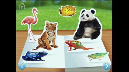 Zoo Animals ~ Touch, Look, Listen iPad app demo for kids Ellie