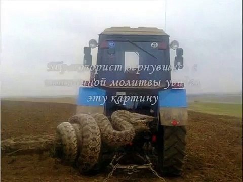 Гигантская змея на Кавказе