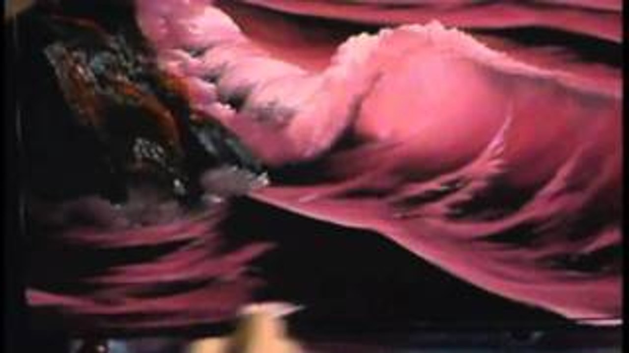 Bob Ross: The Joy of Painting A Happy Little Wave