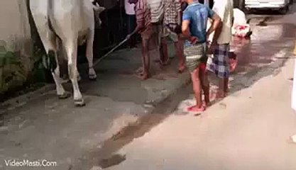 Kya Kick Mari Hai Haha - Very Funny(videomasti.com)