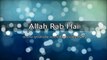 [Best] Allah Rab Hai by Maulana Tariq Jameel