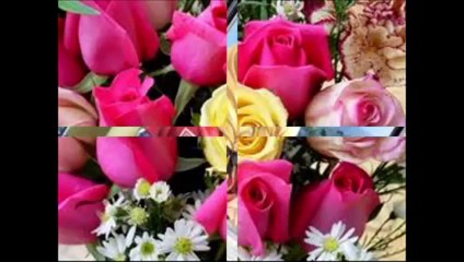 حاضر يا زهر - الاغنيه الاصليه