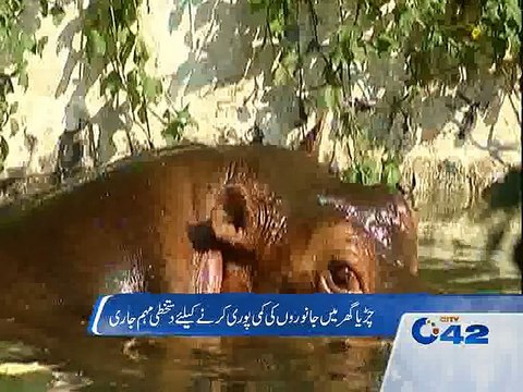 Signing Campaign for ZOO by different schools