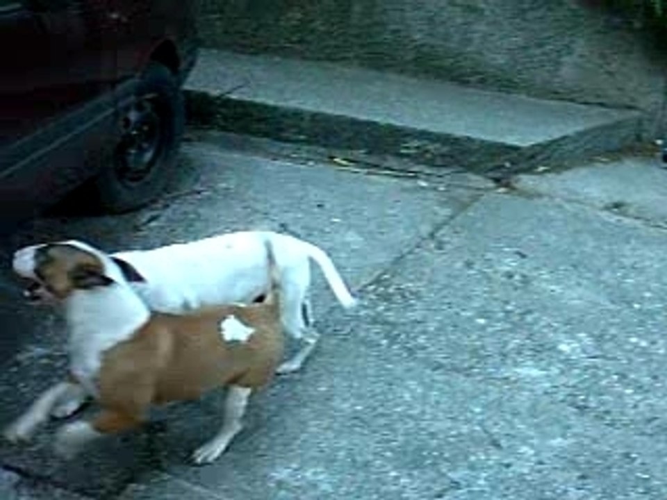 BUFFY ET SA COPINE ITI 3