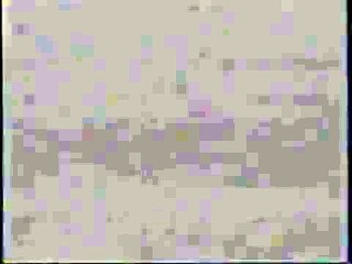 Walt Disney Home Video Logo