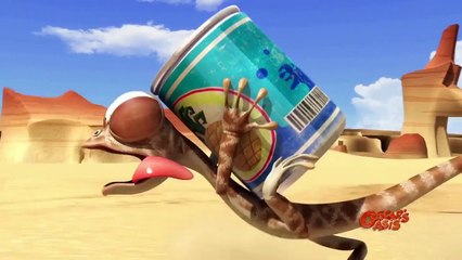 Oscars Oasis Action Shots