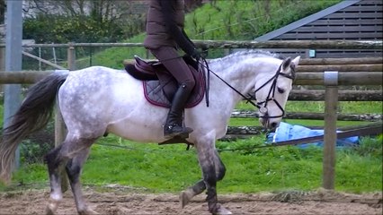 Rubis vidéo nov 2015