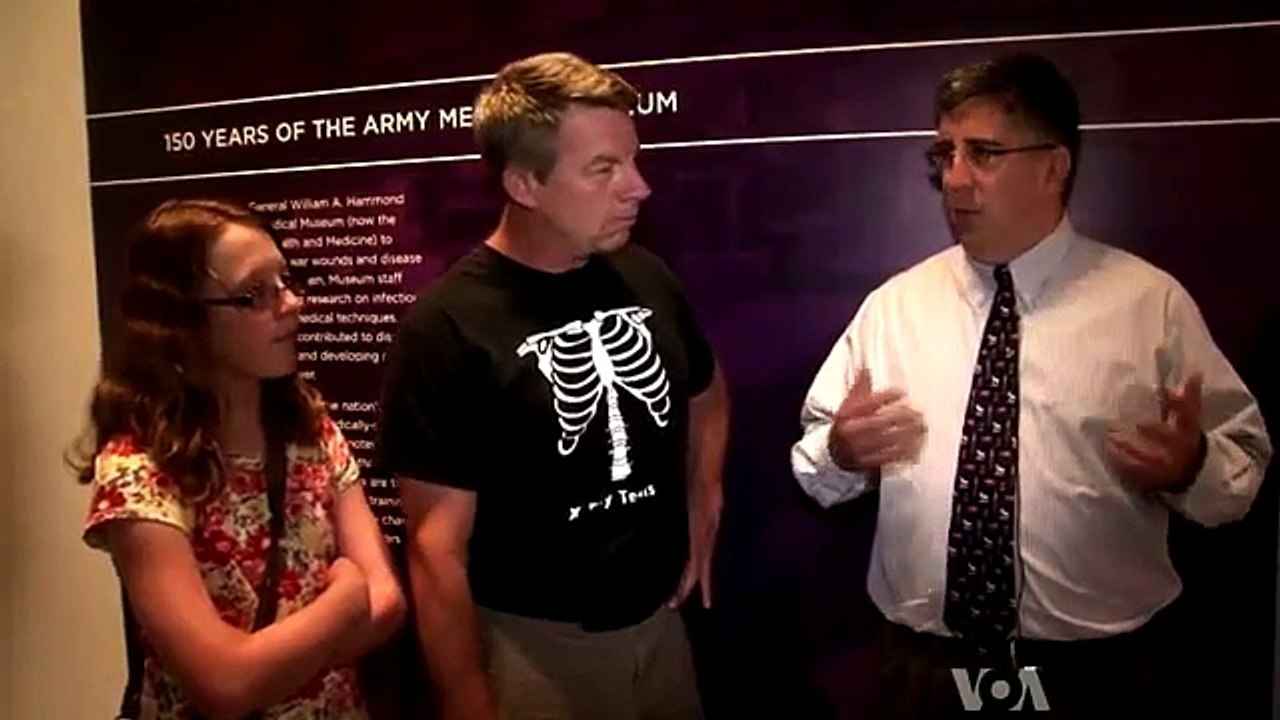 Medical Museum - anatomical collections of bones