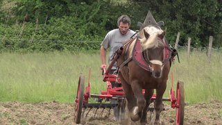 Trait-de-vie-reportage-Neo-bucher-mai-2015