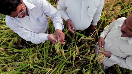 DuPont Announces 2020 Sustainability Goals