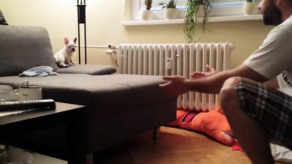 100% -е доверие