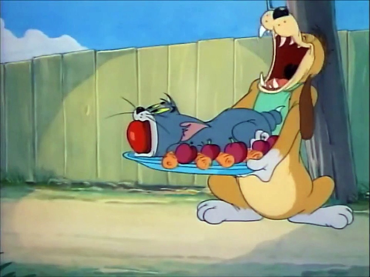 Tom and Jerry, 35 Episode - The Truce Hurts (1948) - Dailymotion Video