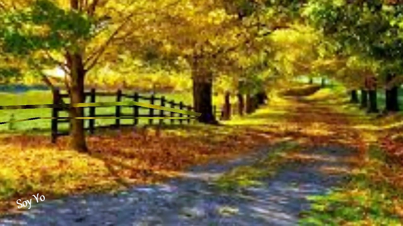 José Luis Perales Hoy sueño con volver