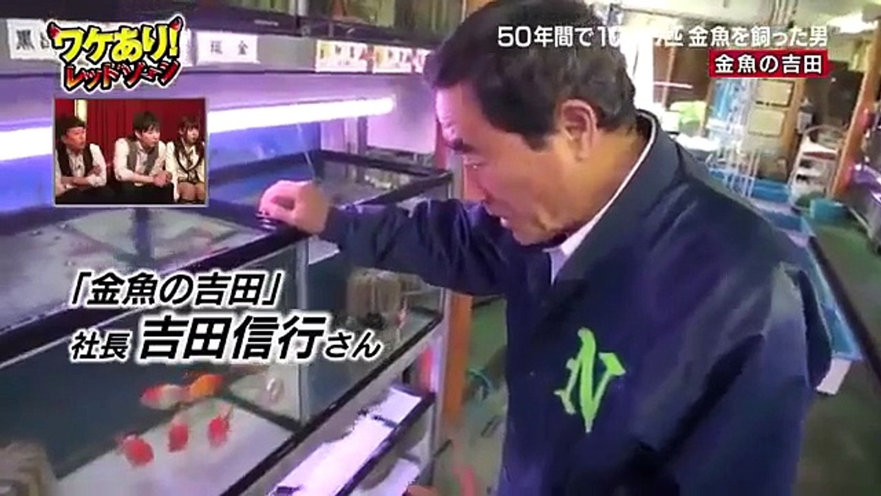 ワケあり!レッドゾーン 2014 5 22 Part 2