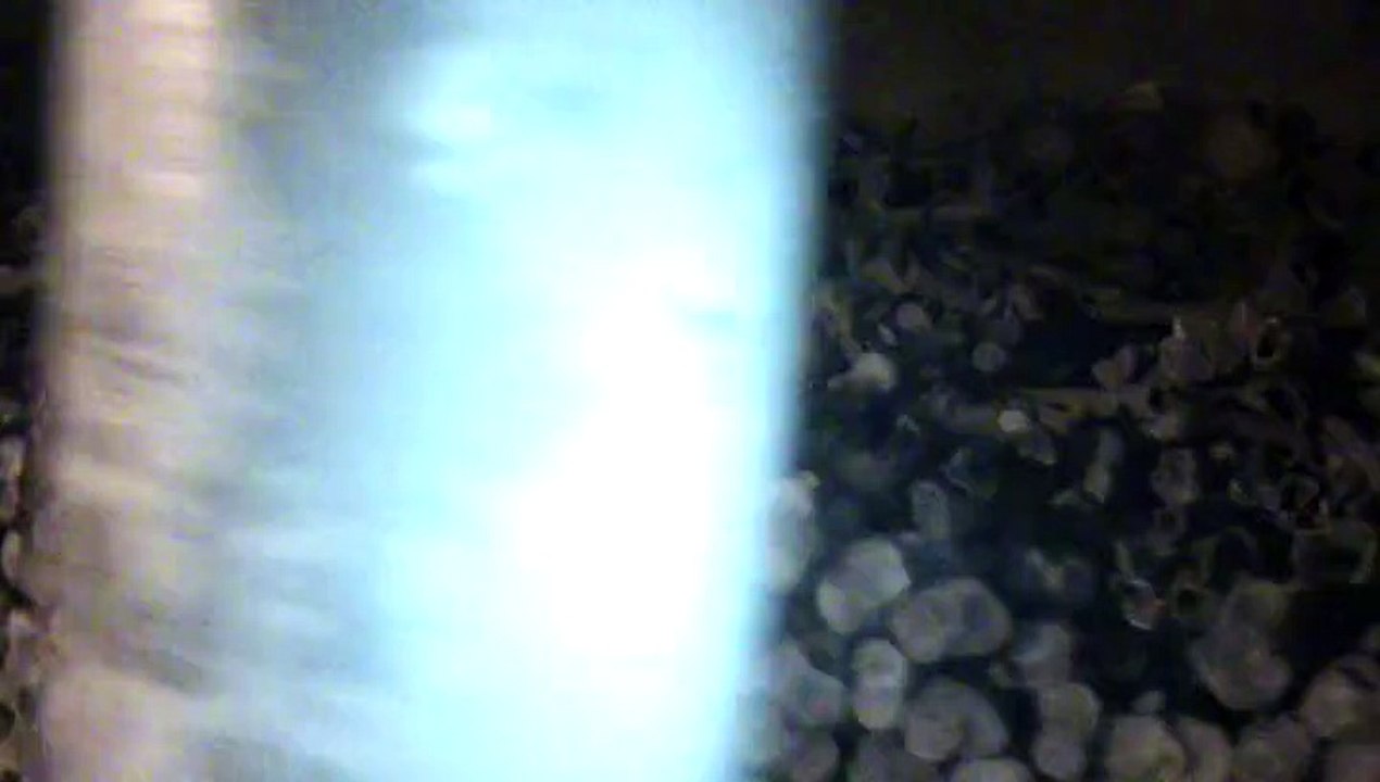 The paris catacombs [Halloween 2015] [prt 2] [standard def]