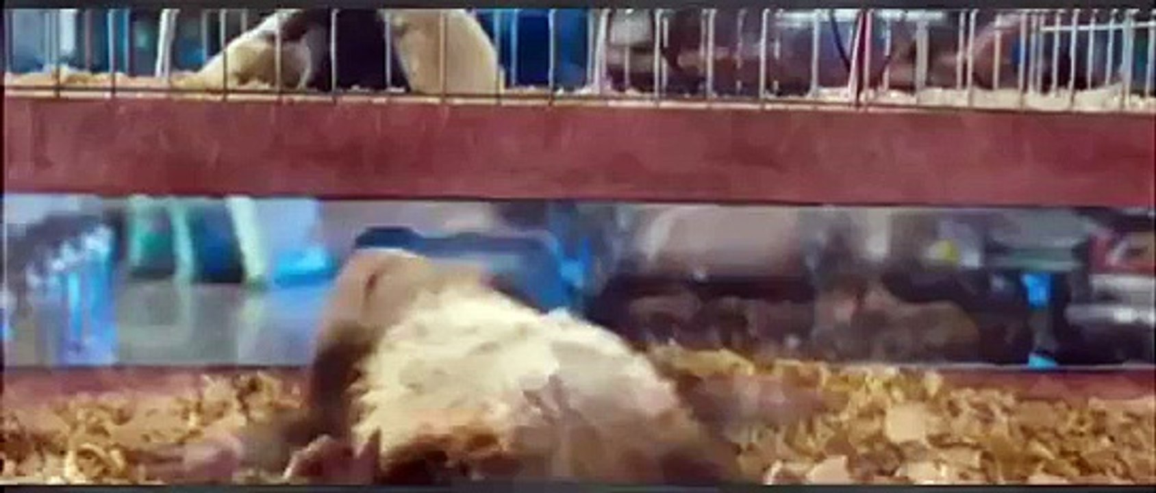 ⒻⒾⓁⓂ ⒶⓃⒾⓂⒶⓉⒾⓄⓃ en français 2015 ⒹⒺⓈⓈⒾⓃ ⒶⓃⒾⓂée ⒸⓄⓂⓅⓁⒺⓉ en français ⒹⒺⓈⓈⒾⓃ ⒶⓃⒾⓂé pour enfant