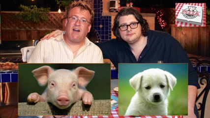 Pizza With Writers: Tosh.0 Head Writer Re-Classifies Animals