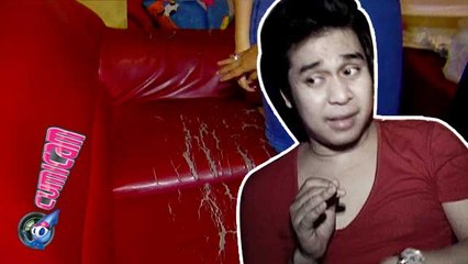 Biar Butut, Kursi Olga Tak Akan Diganti - Cumicam 19 November 2015