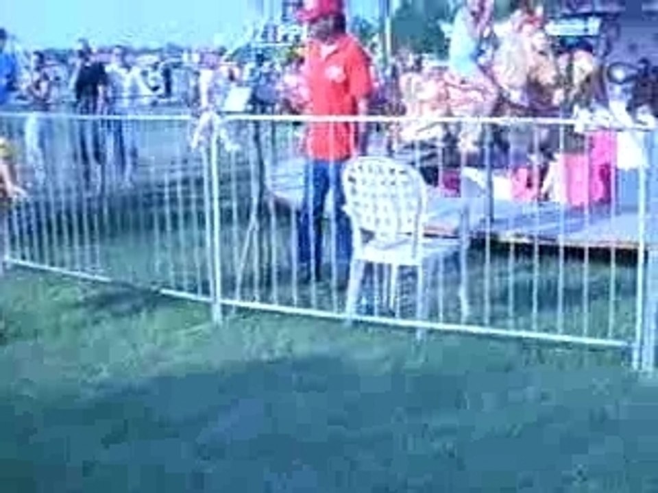 Do Da Zoom