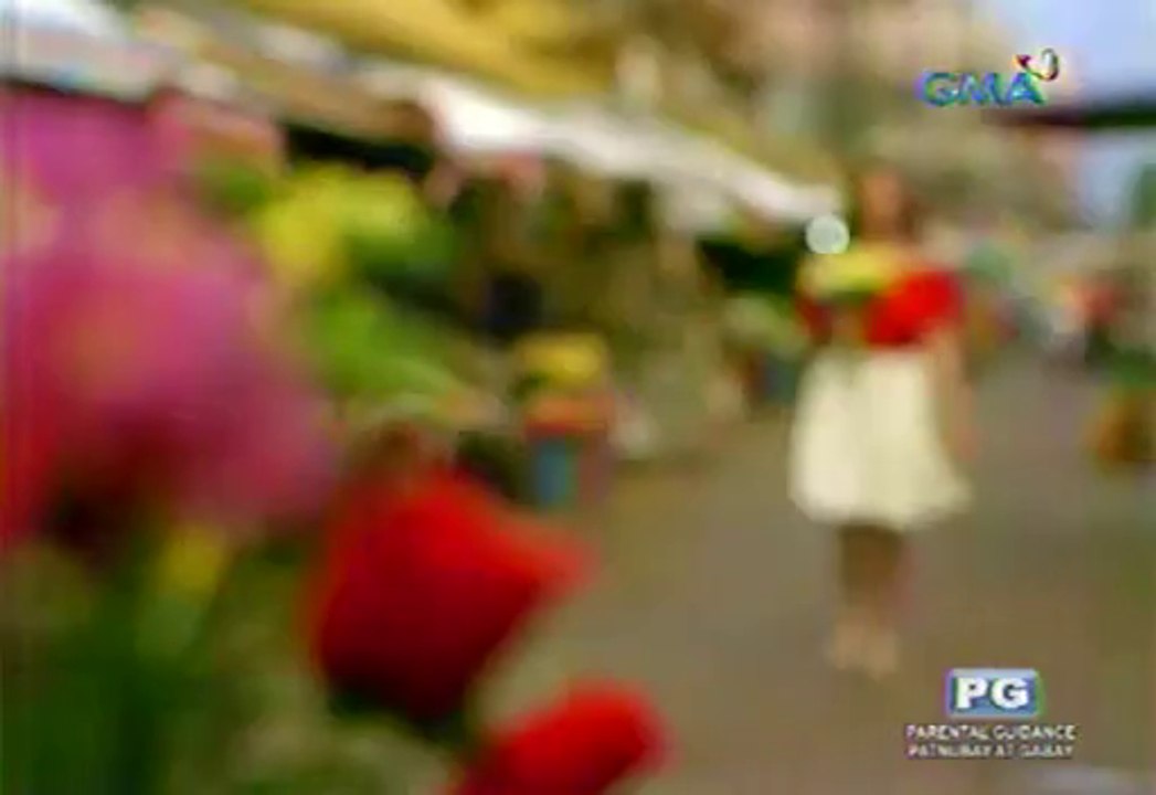 Dangwa November 19 2015