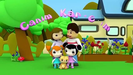 Canım Kardeşim 9 bölüm Trt Çocuk Çizgi Film