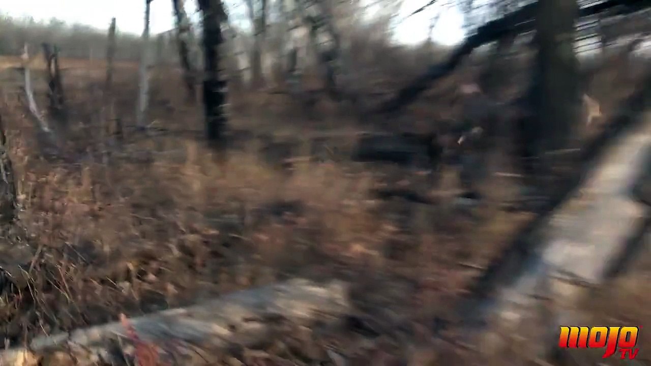 Coyote jumps in hunter s lap