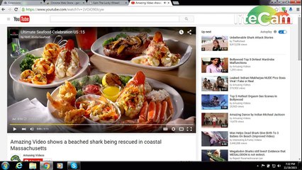 download from utube with extention