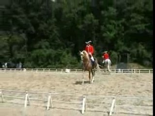 Journées Cheval Baroque Pas de deux