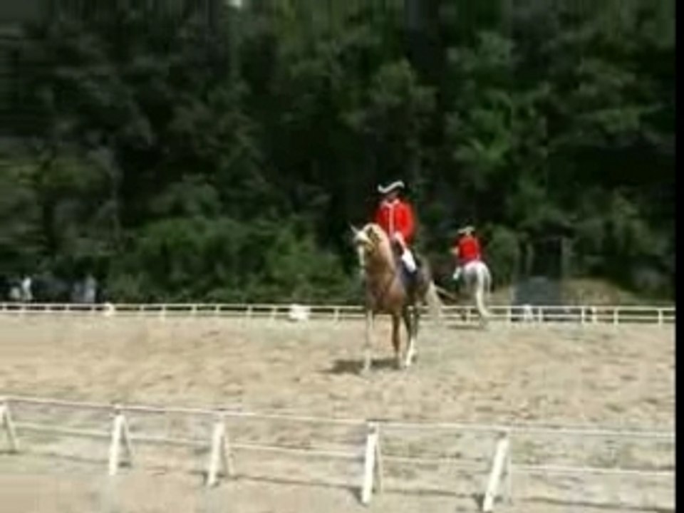 Journées Cheval Baroque Pas de deux