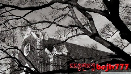 16년토토총판모집bejtv777#스포츠토토#사다리#총판구함1