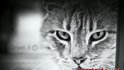 16년토토총판모집bejtv777#스포츠토토#사다리#총판구함3